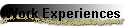Work Experiences
