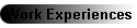 Work Experiences